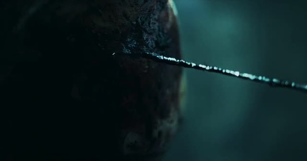 cap00305.jpg Cap00305